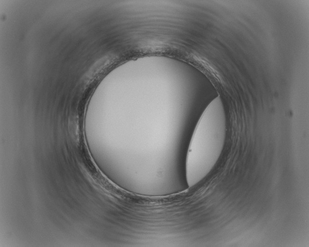 X0000076090494200609221007