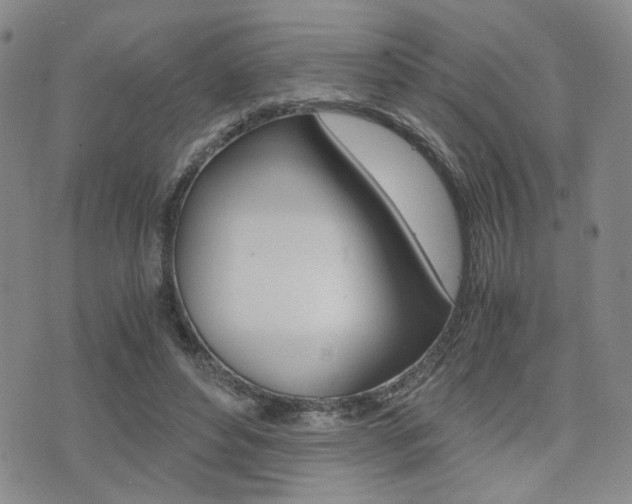 X0000076090496200609221007