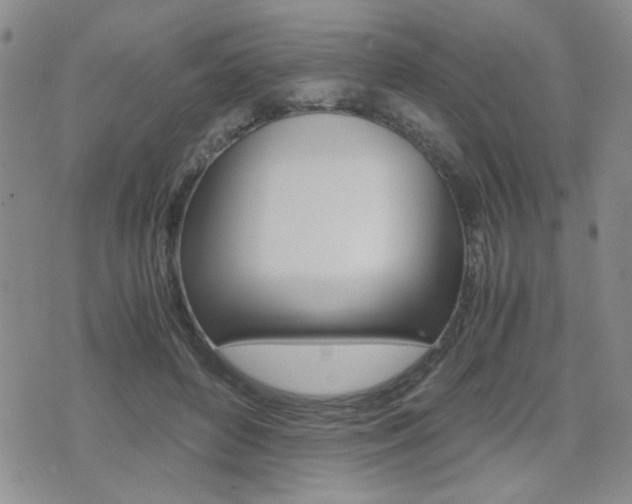 X0000076090504200609221007