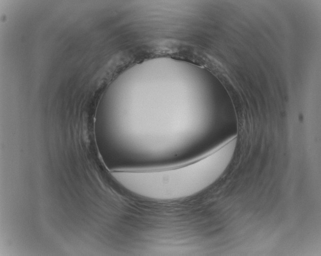 X0000076090512200609221007