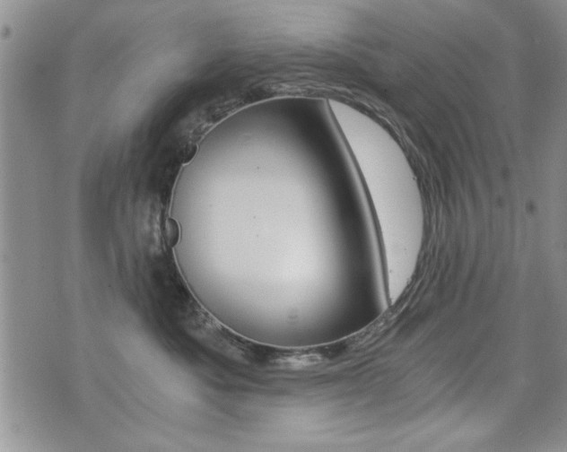 X0000076090525200609221006