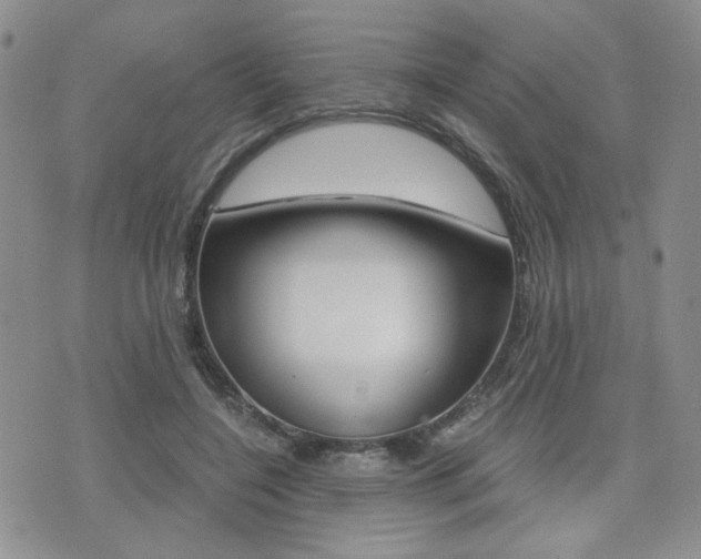 X0000076090548200609221006
