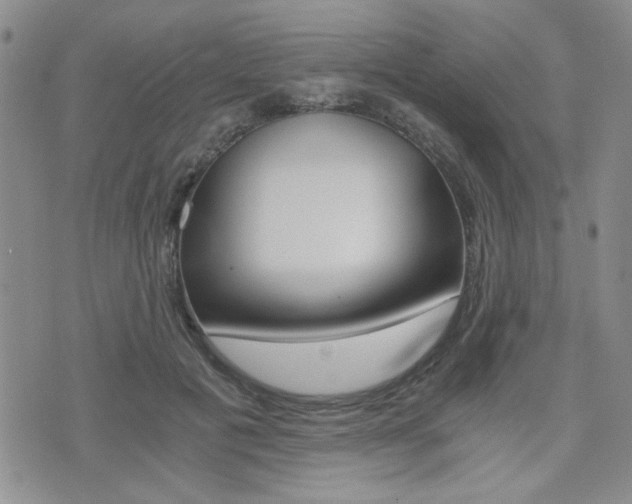 X0000076090601200609221005