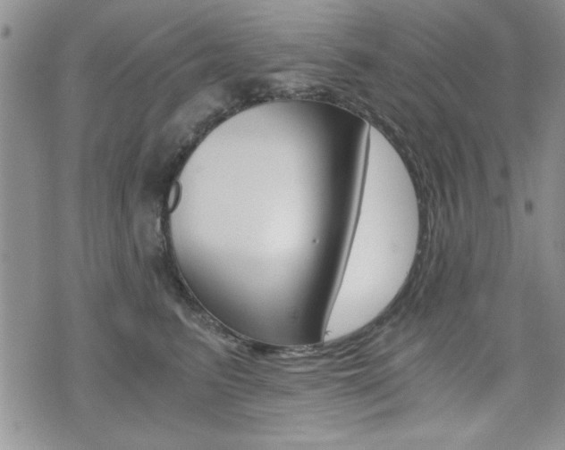X0000076090615200609221005
