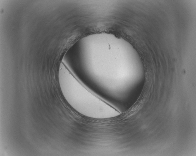 X0000076090624200609221005