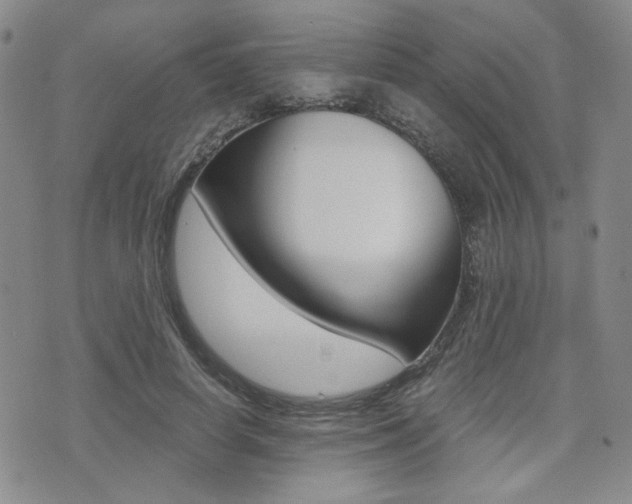 X0000076090642200609221004
