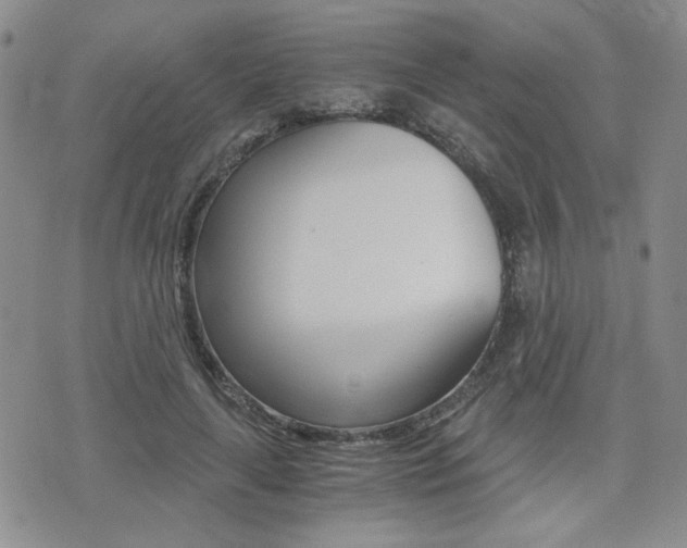 X0000076090643200609221004