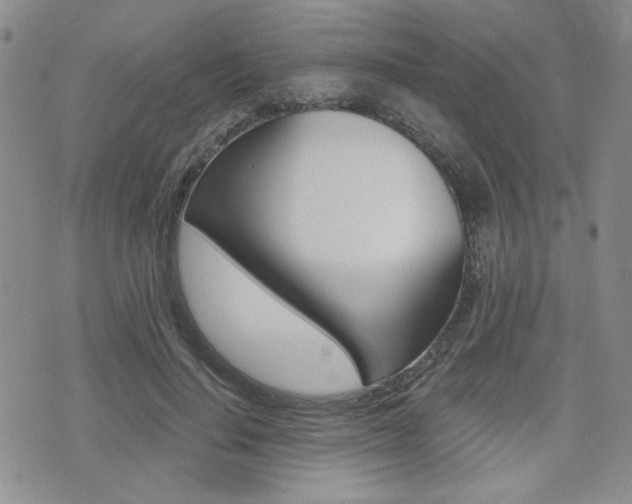 X0000076090644200609221004