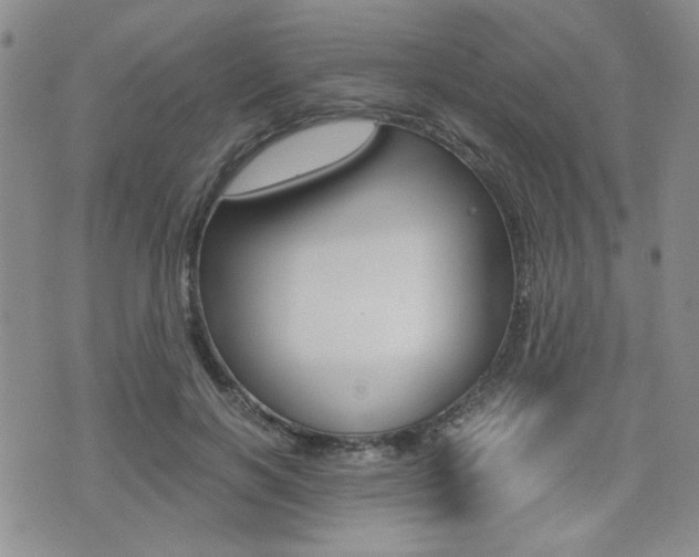 X0000076090646200609221004