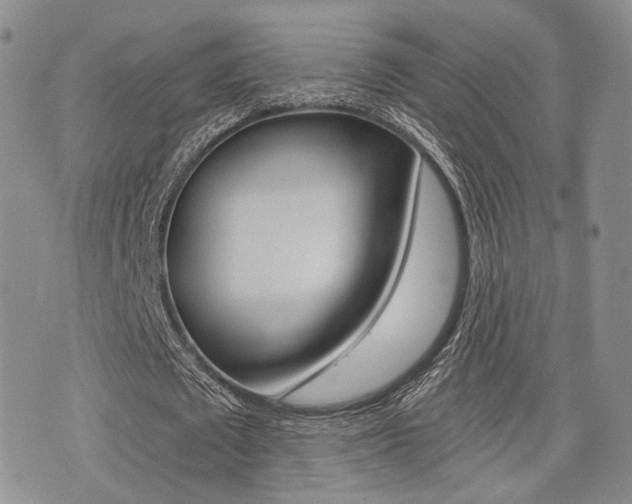 X0000076090673200609221004