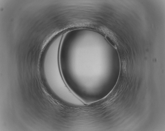 X0000076090676200609221004