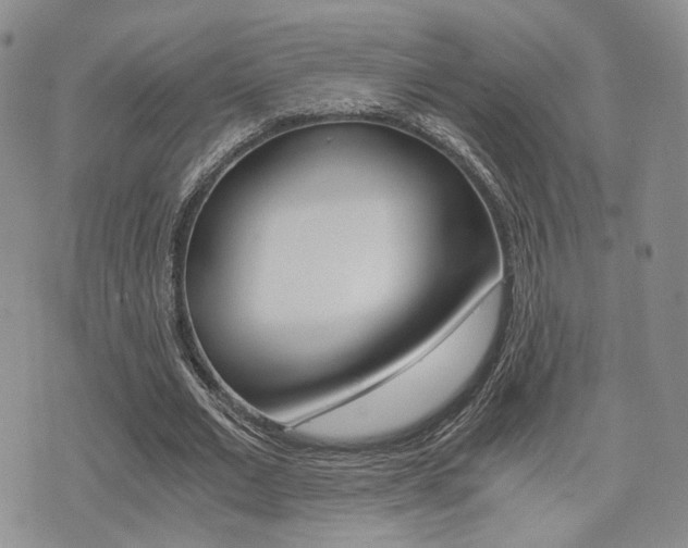 X0000076090677200609221004