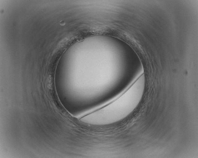 X0000076090689200609221004