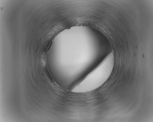 X0000076090719200609221003