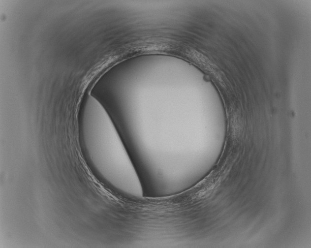 X0000076090721200609221002