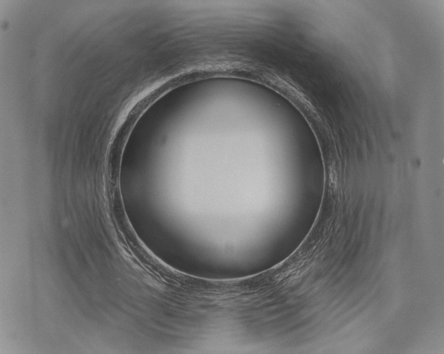 X0000076090724200609221002