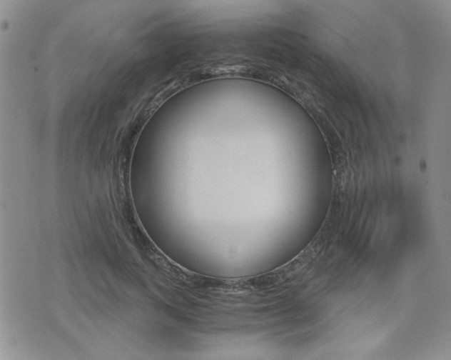 X0000076090743200609221003