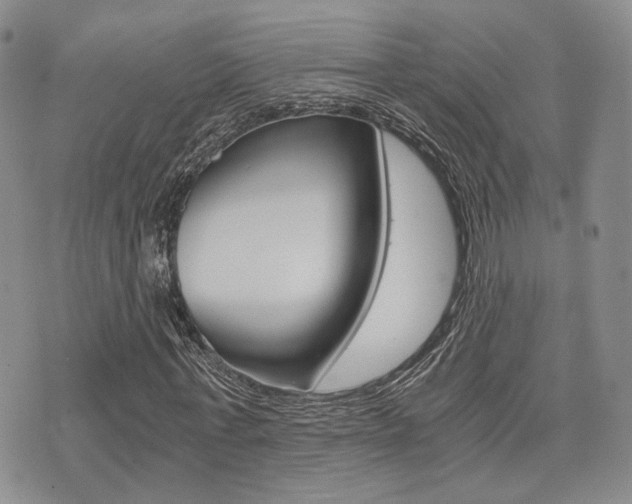 X0000076090771200609221002