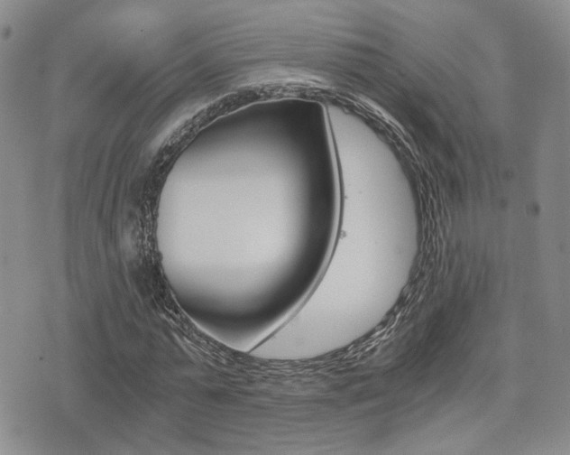 X0000076090775200609221002