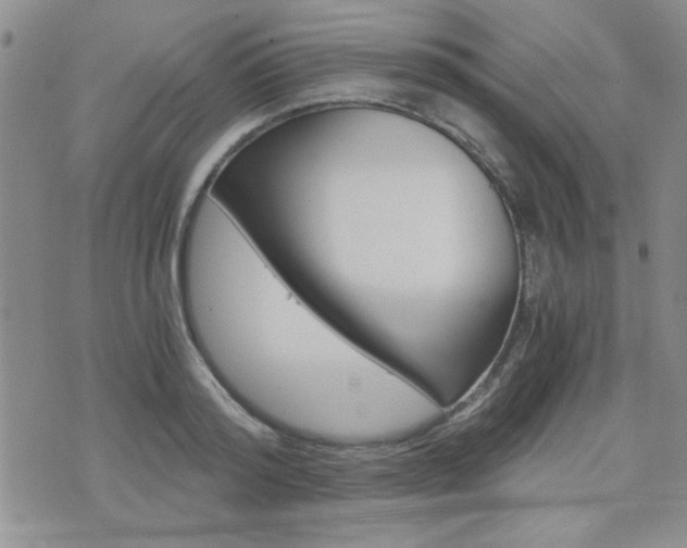 X0000076090796200609221002