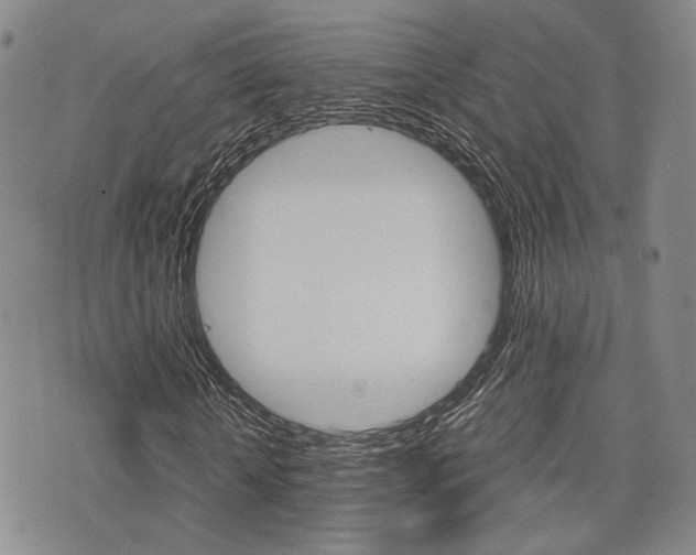 X0000076090818200609221001