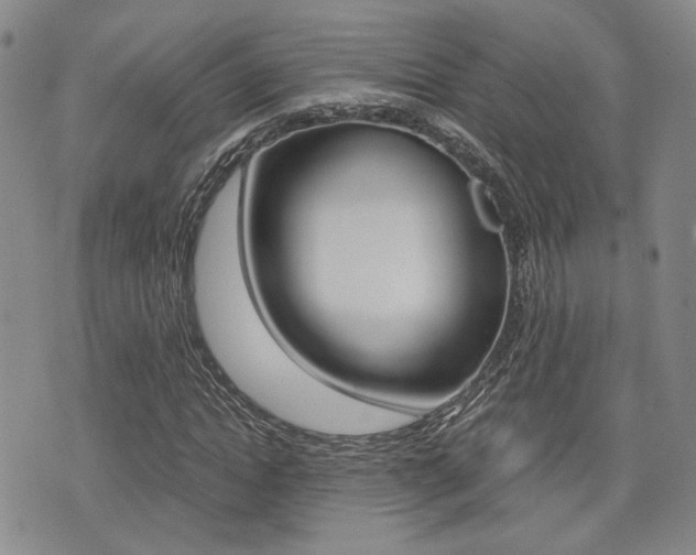 X0000076090822200609221001