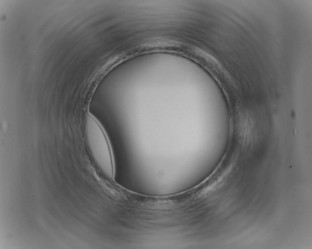 X0000076090833200609221001