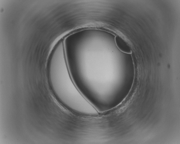 X0000076090838200609221001