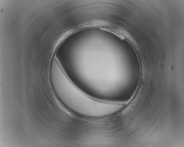 X0000076090850200609221001