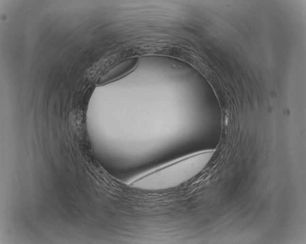 X0000076090867200609221001