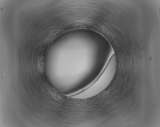 X0000076090868200609221001