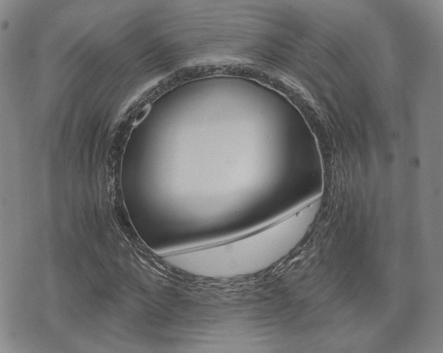X0000076090872200609221001