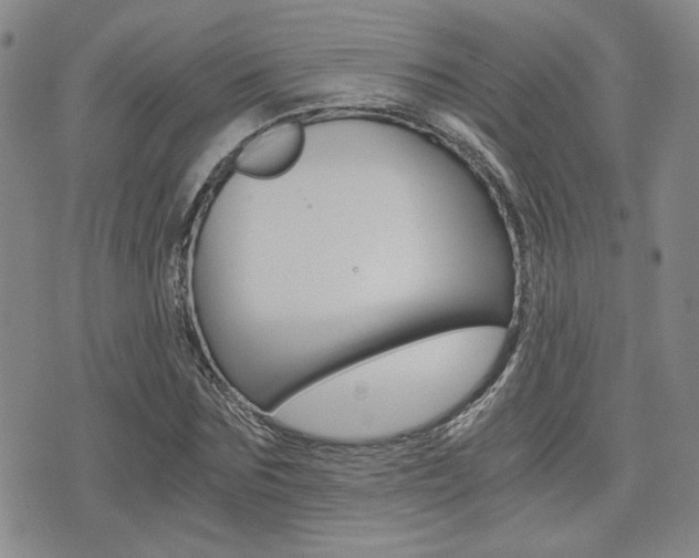 X0000076090875200609221001