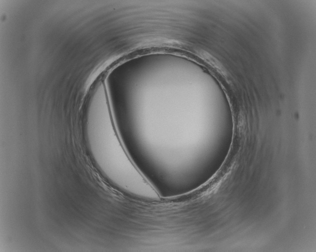 X0000076090877200609221001