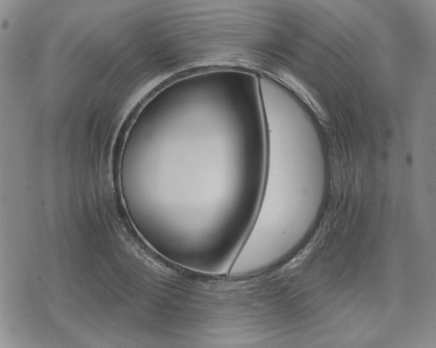X0000076090884200609221000