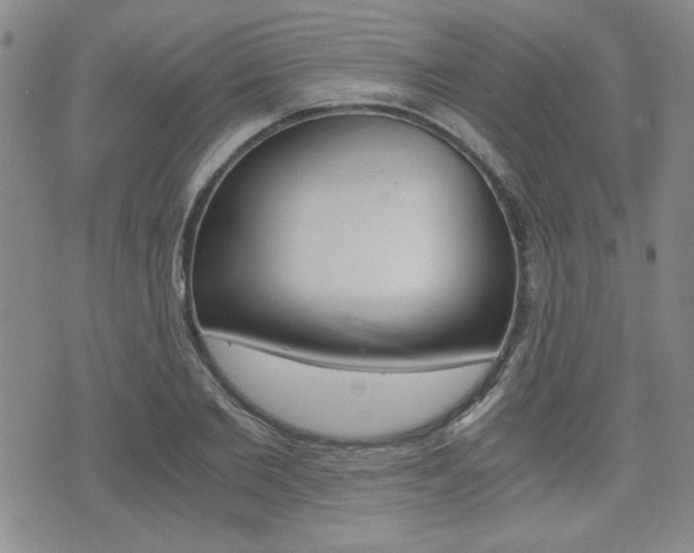 X0000076090885200609221000