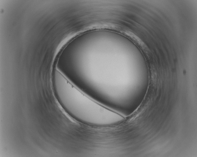X0000076090894200609221000