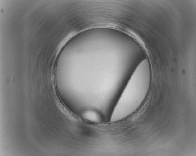 X0000076090907200609221000