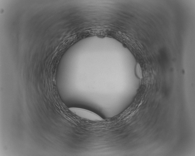 X0000076090913200609220959