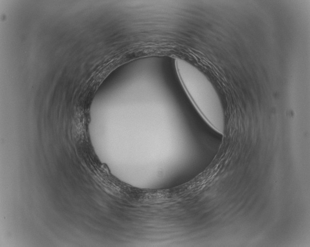 X0000076090914200609220959