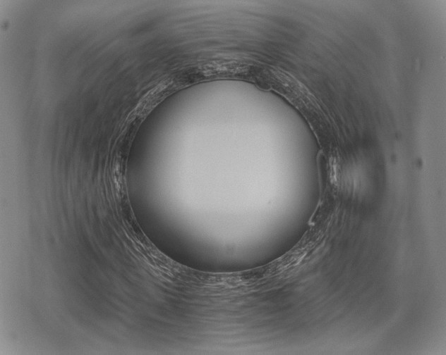X0000076090915200609220959