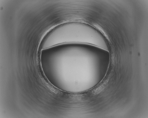 X0000076090924200609220959