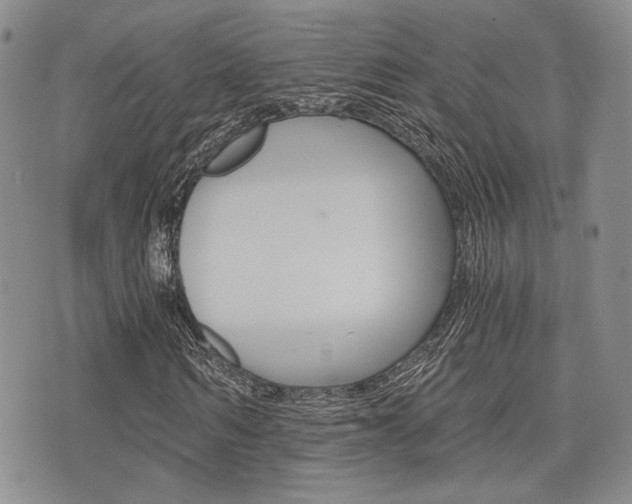 X0000076090962200609220959