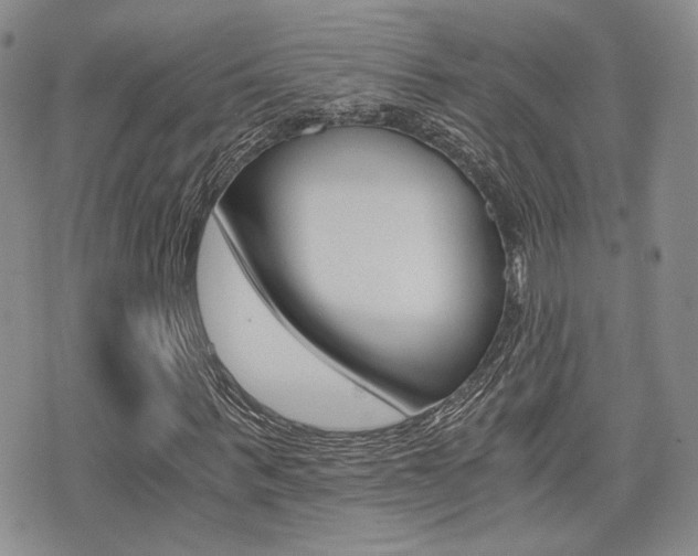 X0000076090963200609220959