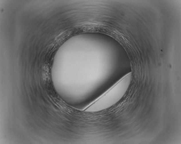 X0000076090964200609220959