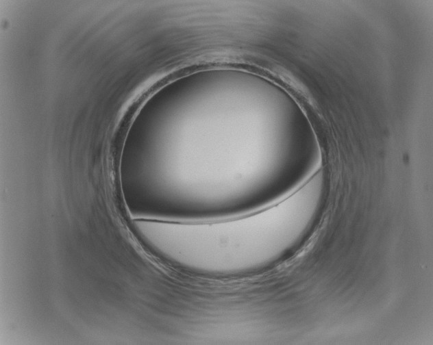 X0000076090981200609220959
