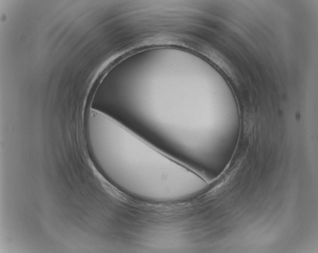 X0000076090988200609220959
