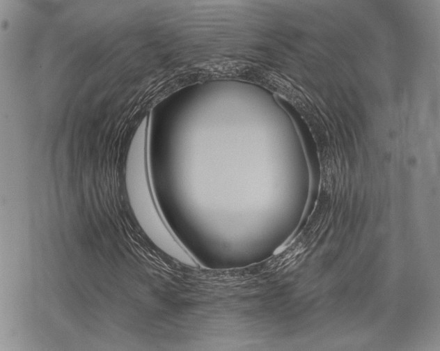 X0000076091010200609220958