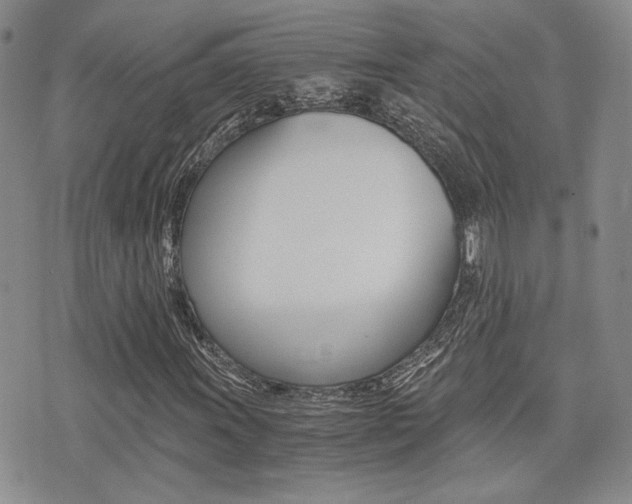 X0000076091011200609220958