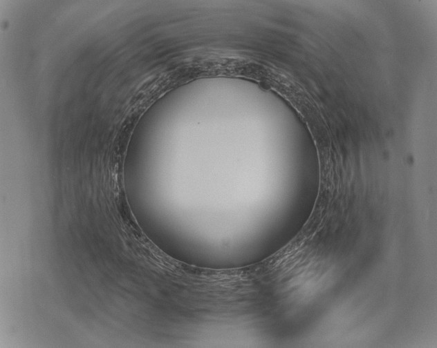 X0000076091013200609220958